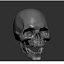 SKULL.ZTL